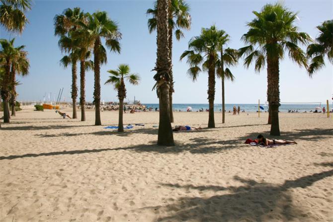 Sun And Beach Lovers 12019 La Pineda Exterior photo